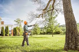 Best Tree Mulching  in Galt, CA